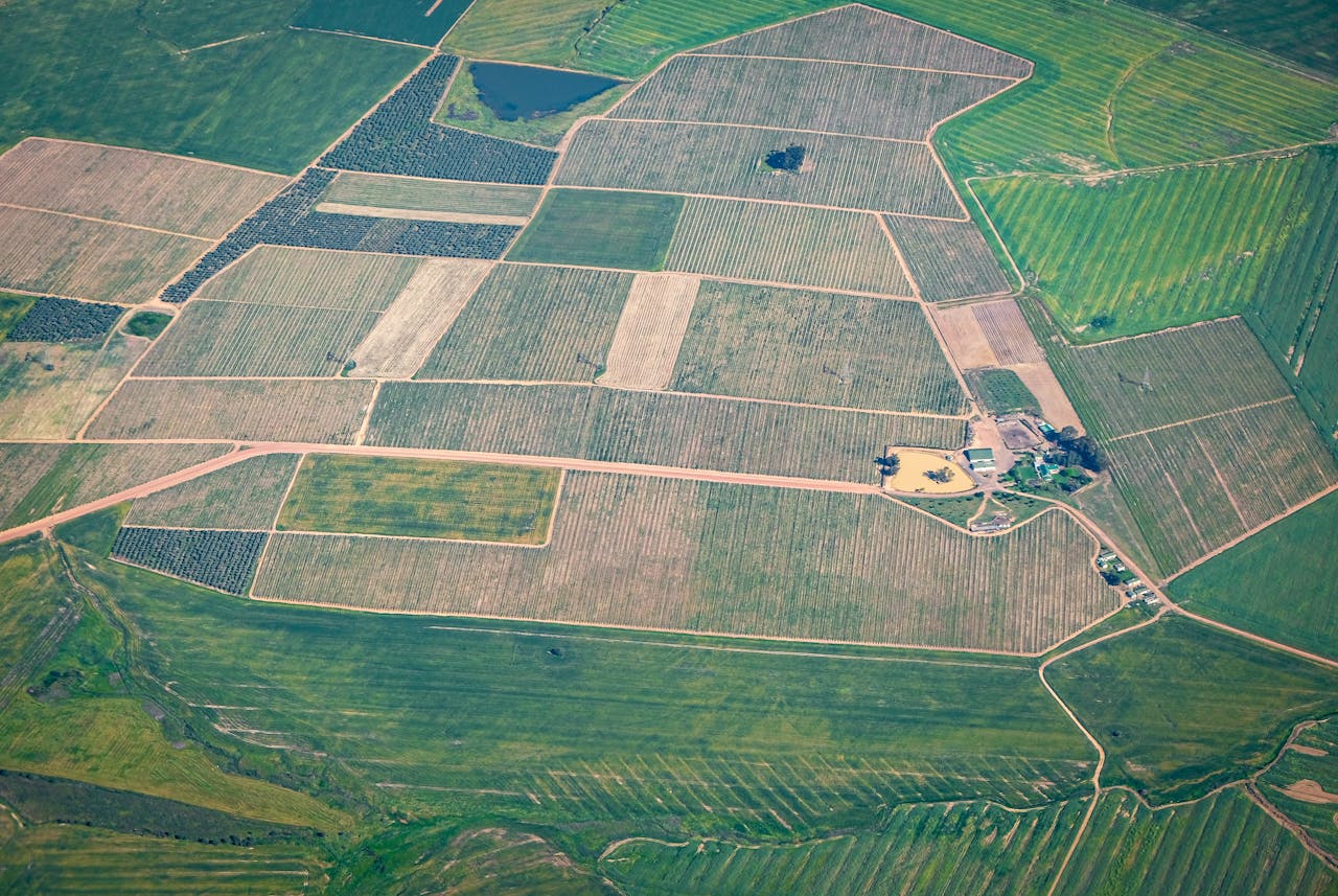 Agriculture Land