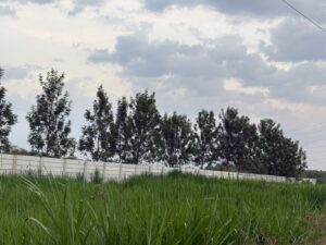 Agricultural land